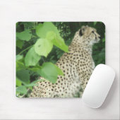 美しいチータ マウスパッド (マウス)
