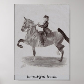 美しいチーム ポスター