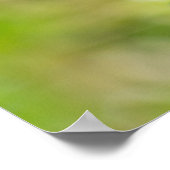 美しいツイン永遠のエンドウ豆ポスター ポスター (角)