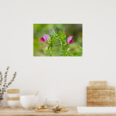 美しいツイン永遠のエンドウ豆ポスター ポスター (キッチン)