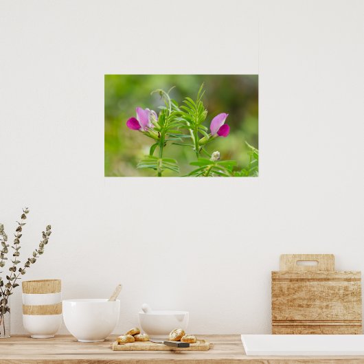 美しいツイン永遠のエンドウ豆ポスター ポスター (キッチン)