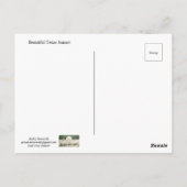 美しいテキサス州夕日 ポストカード (裏面)