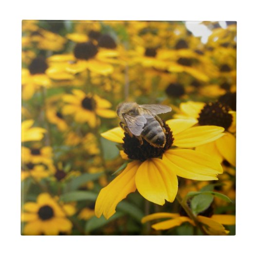 美しいデイジーの野原とミツバチ タイル (正面)