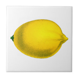 美しいデザインの水色レモン タイル