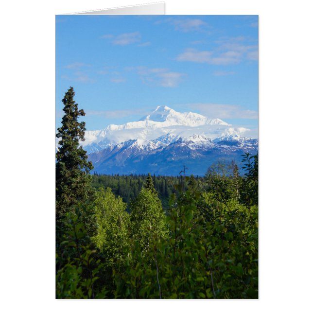 美しいデナリ (正面)