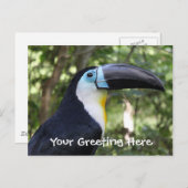 美しいトゥーカンの写真 ポストカード (正面/裏面)