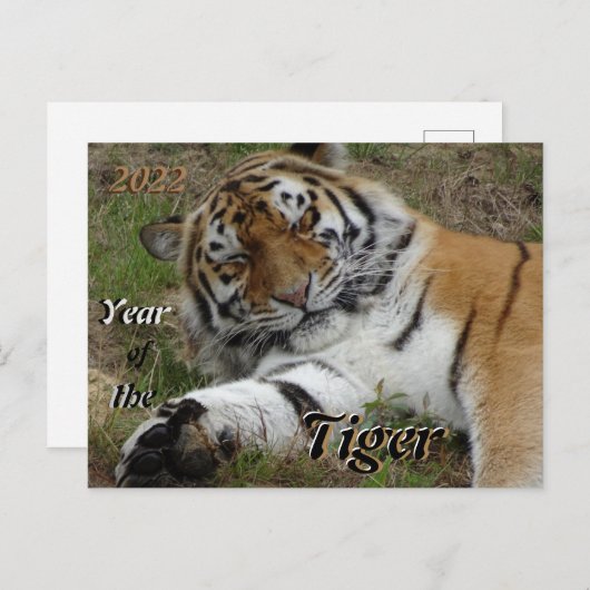 美しいトラ中国のガー2022年新年はがき ポストカード (正面/裏面)