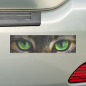 美しいトラ猫の目 バンパーステッカー (車上)