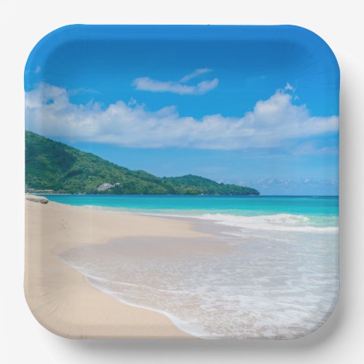 美しいトロピカルデスティネーション風光明媚なビーチ ペーパープレート (正面)