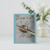 美しいトンボの水の上にDIYはがき ポストカード (スタンド正面)