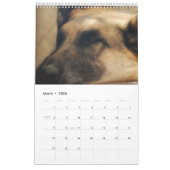 美しいドイツの羊飼いの写真 カレンダー (3月 2026)