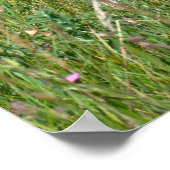 美しいドゴアルゼンチーノ ポスター (角)