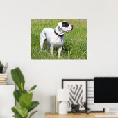 美しいドゴアルゼンチーノ ポスター (ホームオフィス)