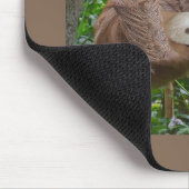 美しいナマケモノ聖なる書物、 経典：エペソ4:32 マウスパッド (コーナー)