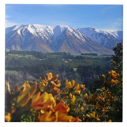 美しいニュージーランド タイル (正面)