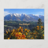 美しいニュージーランド ポストカード (正面)