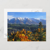 美しいニュージーランド ポストカード (正面/裏面)