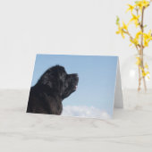 美しいニューファンドランドのグリーティングカード カード (黄色い花)