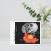 美しいハイビスカス…&バブル ポストカード (スタンド正面)