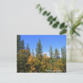 美しいハイフォーク、カリフォルニア… ポストカード (スタンド正面)