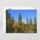 美しいハイフォーク、カリフォルニア… ポストカード (正面/裏面)