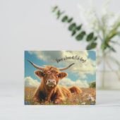 美しいハイランドの牛を飼っている ポストカード (スタンド正面)