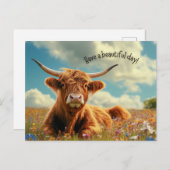 美しいハイランドの牛を飼っている ポストカード (正面/裏面)