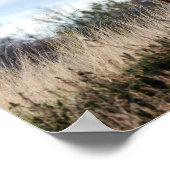 美しいハイランド牛 ポスター (角)