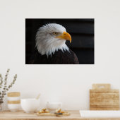 美しいハゲのワシポートレート ポスター (キッチン)