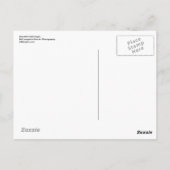 美しいハゲワシ・・・ ポストカード (裏面)