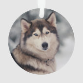 美しいハスキーのアウトドア オーナメント (裏面)