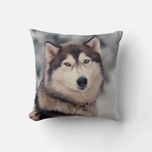 美しいハスキーのアウトドア クッション (正面)