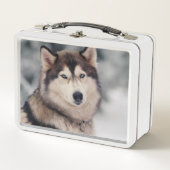 美しいハスキーのアウトドア メタルランチボックス (正面)