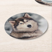 美しいハスキーのアウトドア ラウンドペーパーコースター (アングル)