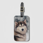 美しいハスキーのアウトドア ラゲッジタグ (正面縦)