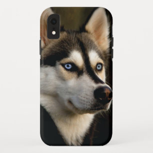 美しいハスキーのスロー枕 iPhone XRケース