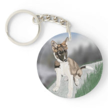 美しいハスキーの子犬