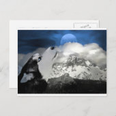 美しいハスキーホリデーポストカード シーズンポストカード (正面/裏面)