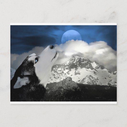 美しいハスキーホリデーポストカード シーズンポストカード (正面)