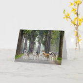 美しいハスキー犬が道を歩く自然 カード (黄色い花)