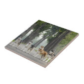 美しいハスキー犬が道を歩く自然 タイル (側面)