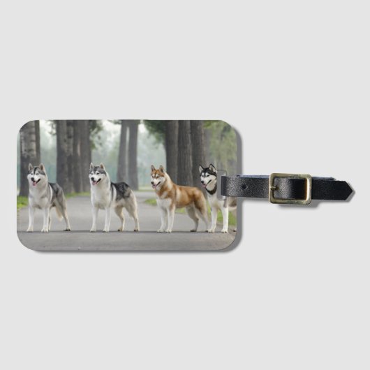 美しいハスキー犬が道を歩く自然 ラゲッジタグ (正面横)