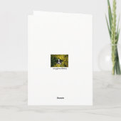 美しいハスキー犬の感謝カード サンキューカード (裏面)