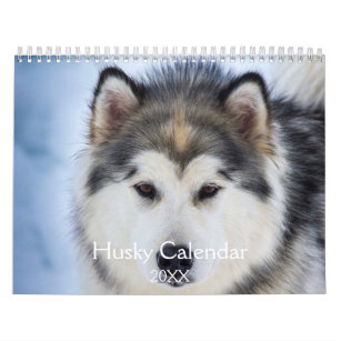 美しいハスキー犬 カレンダー
