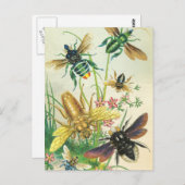 美しいハチのポストカード ポストカード (正面/裏面)