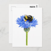 美しいハチの絵 ポストカード (正面/裏面)