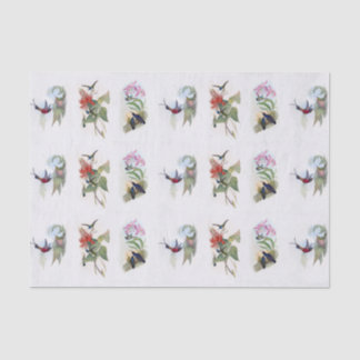 美しいハチドリのヴィンテージの芸術のティッシュペーパー 薄葉紙