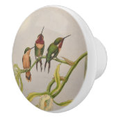 美しいハチドリ セラミックノブ (右)