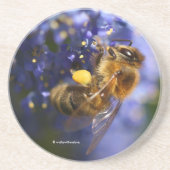 美しいハネビーの上のカリフォルニア薄紫 コースター (正面)