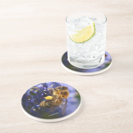 美しいハネビーの上のカリフォルニア薄紫 コースター (側面)